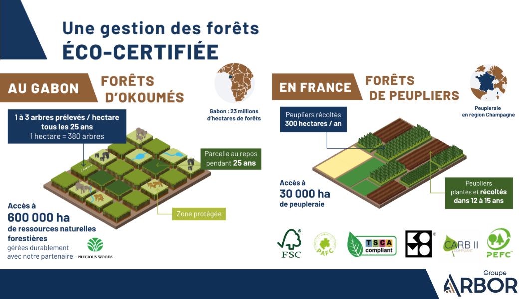 gestion-forets-groupe-arbor